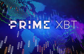 Exploring Copy Trading on PrimeXBT A Comprehensive Guide